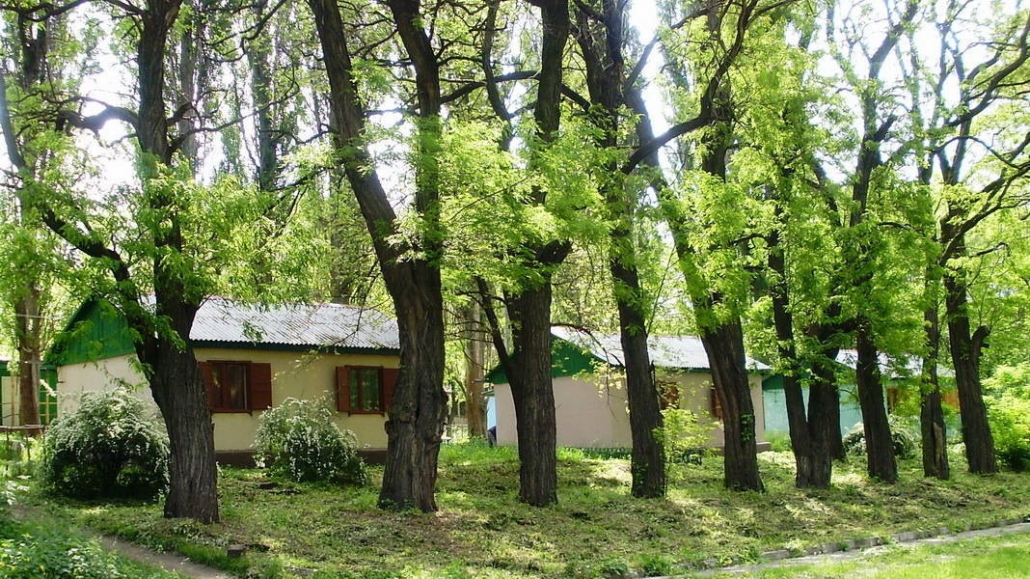 База відпочинку Чайка. Будиночки +38 067 532 90 69